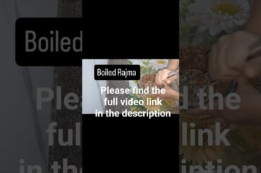 Rajma Patties Sandwich l Galouti kabab Sandwich #shorts #cooking #recipe #food #health #short #tasty