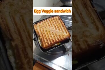egg veg sandwich/egg sandwich recipe