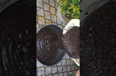 3 ingredients Yummy Delicious Easy Oreo Cake any one can make at home | #oreocake Recipe