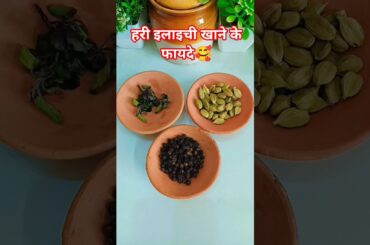 Benefits of green cardamom by Dr. Rajiv dixit ji#tulsi benefits#recipe#ayurveda#shorts