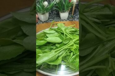 Palak Se Healthy Recipe #shorts #healthy #palak