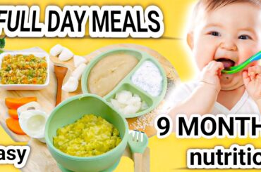 Full Day Baby Meal Plan   Healthy Breakfast, Snacks, Lunch & Dinner Recipes @ Little Bites Kitchen