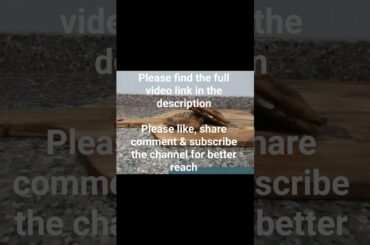 No bread Sandwich recipe: ep- 2 #shorts #short #shortvideo #shortsfeed #shortsviral #healthy #tasty