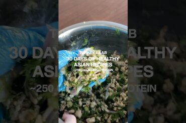 30 DAYS OF HEALTHY ASIAN RECIPES | TURKEY LAAB