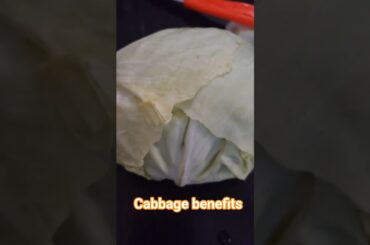 cabbage benefits#cabbage recipes#red cabbage health benefits#cabbage health benefits