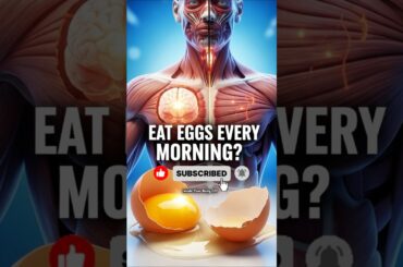 morning best breakfast | full energy | #egg #breakfast