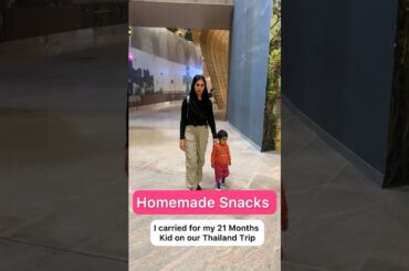 Travel Snacks | Homemade Healthy Snacks | #food #travel #healthysnacks #homemade #easysnacks