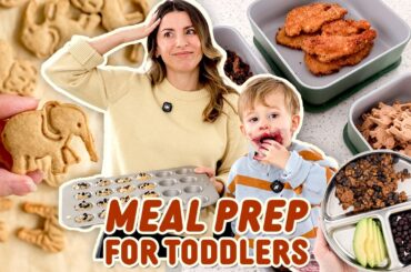 Toddler Meal Prep | Healthy Meals for Picky Eaters (Kids Will Actually Eat)