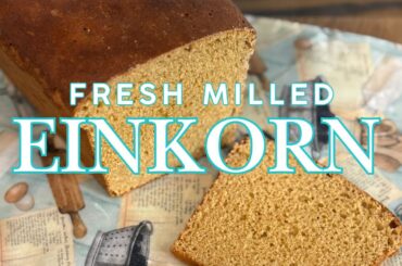 Easy Einkorn Bread Made with Freshly Milled Flour | Beginner-Friendly Ancient Grain Bread Recipe