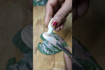 Dr Subhash Goyal REVEALS Paan Benefits for Good Digestion and Calcium! #shorts #easyrecipe #ayurveda