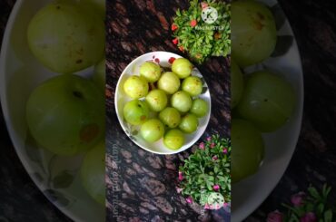 Acharya Manish's SECRET Healthy Benefits of Amla | Amla Candy Recipe #shorts#easyrecipe#healthy