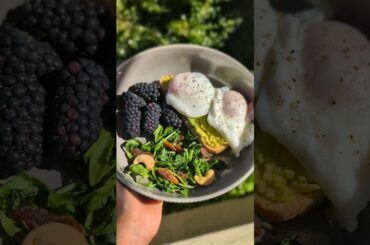 Protein Rich Breakfast Ideas | Food Prime #healthyfood #health #breakfast #foodprime
