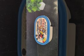 kids snacks box idea #kidssnacksbox #snacksbox #snacks #kidssnacksboxidea #snacksboxidea