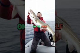 How to Choose Fish Based on Your Health Goals #health #healthylifestyle #healthtips #nutritiontips