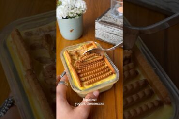 VIRAL 2 ingredients Japanese yogurt cheesecake