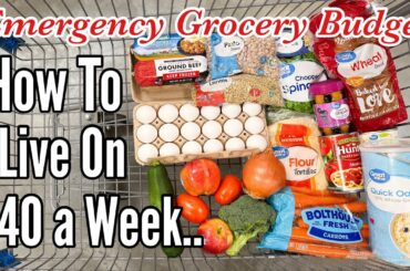 Feeding 4 People on $40 a Week for Breakfast, Lunch & Dinner | JULIA PACHECO BUDGET RECIPES