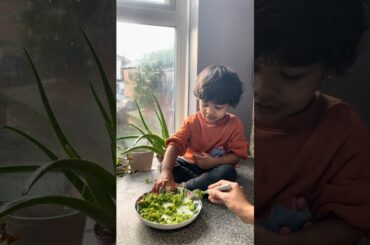 Mixed Veg Spinach Paneer Fried Rice | Healthy Lunch Box Recipe in Tamil