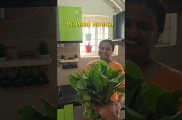 Palak Paratha | Simple & Healthy Breakfast recipe series, 24 of 30 #food #viral #healthybreakefast