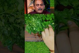 Healthy High Fiber Multigrain Roti for breakfast inspired with Acharya Manish ji #acharyamanish#yt