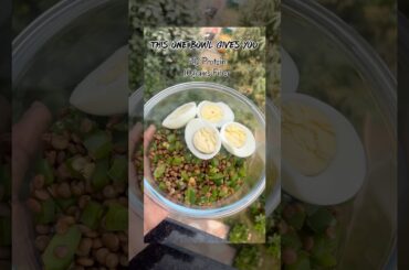 This one Bowl gives you 21g of Protein, 10g of Fiber & 26g of Carbs under 270kcal #weightloss #drpal