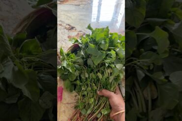 Keerai poriyal recipe | very simple & healthy #keeraiporiyal #keerai #poriyal #lunch #keeraicleaning