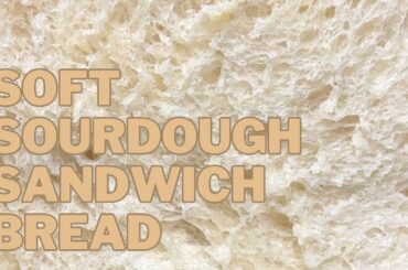 Soft sourdough sandwich bread recipe | step by step beginners guide to making homemade sourdough