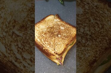 morning breakfast healthy sandwich recipe#youtubeshorts