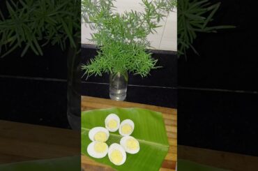 Healthy snack recipe for your kid #healthylifestyle #healthysnack