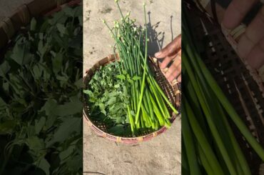 Healthy Bethe Shak Fry with Green Onions | Easy Indian Greens Recipe #shorts #recipe #cooking