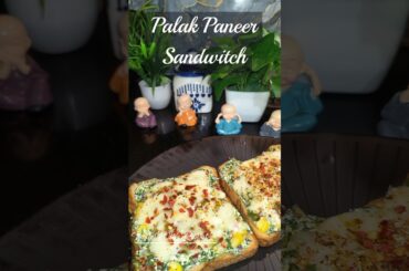 Palak Paneer Sandwich Recipe #tastewithrawat