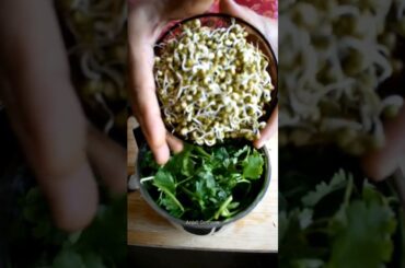 Sprouts Breakfast Recipe Low carb diet #sprouts #breakfast #paratha  #lowcarb  #diet #palak #shorts