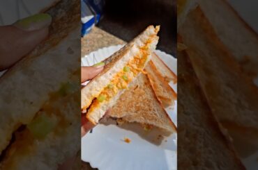 Healthy & Testy Vegetables Sandwich #recipe #viral #shorts #sandwich #healthy #viralvideo #short