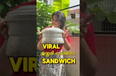 Viral Sandwich #easy #recipies #healthy #yt #malayalam #cooking #healthy #food #viral #chicken