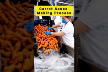 ASRM Many people don't know this is the process of making carrot sauce using modern machines #shorts