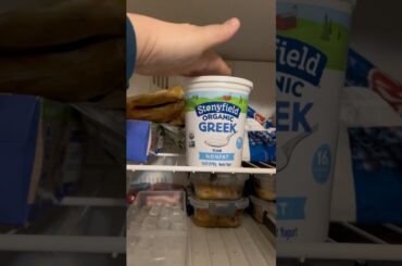 The Easiest High Protein Frozen Yogurt I’ve Made