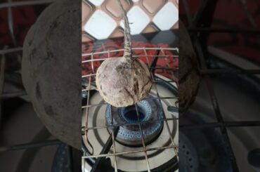 Benifits of Beetroot | Beetroot salad #facts #healthyhabits #ytshorts #information #factshorts