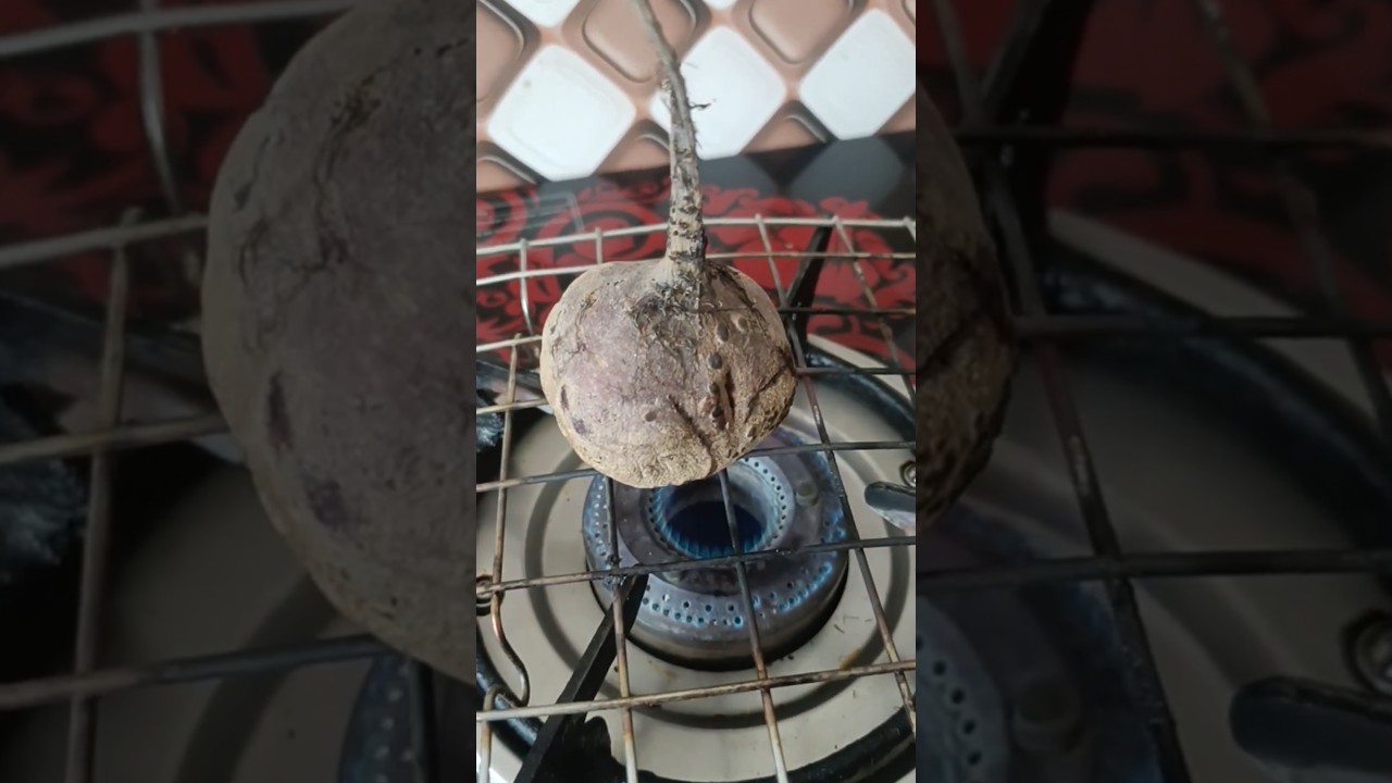 Benifits of Beetroot | Beetroot salad #facts #healthyhabits #ytshorts #information #factshorts Benifits of Beetroot | Beetroot salad #facts #healthyhabits #ytshorts #information #factshorts