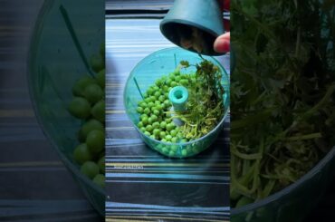 Quick, easy and healthy breakfast recipe #Breakfast #nasta #tiffinbox #rekhaskitchen #Food