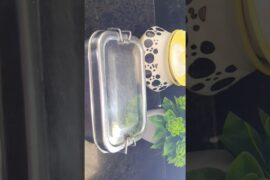 kids snacks box idea #kidssnacksbox #snacksbox #snacks #kidssnacksboxidea #snacksboxidea