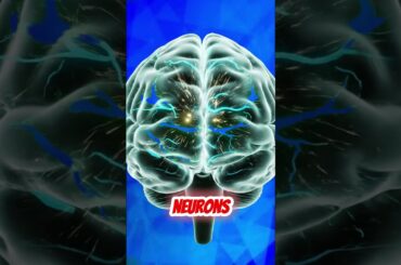 The Ultimate Cucumber Mint Smoothie: The Science of Cellular Hydration and Digestive Detox