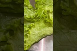 Is tarah ap logo ne salad try ki hai #youtubeshorts #salad #healthy #shortvideo #recipe #food #viral