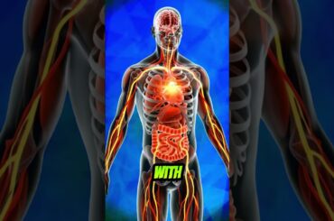 The Ultimate Strawberry Banana Smoothie: High-Protein & Nutrient-Dense Recipes for Maximum Energy