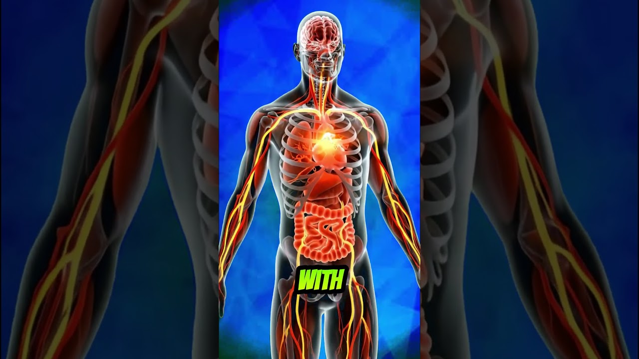 The Ultimate Strawberry Banana Smoothie: High-Protein & Nutrient-Dense Recipes for Maximum Energy The Ultimate Strawberry Banana Smoothie: High-Protein & Nutrient-Dense Recipes for Maximum Energy