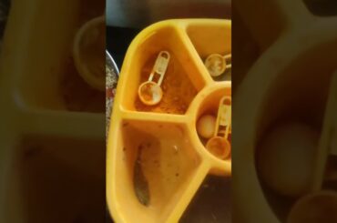 Easy Breakfast/Dinner Recipe | Snacks Recipe | Healthy breakfast recipes | Dalia| Upma#viral