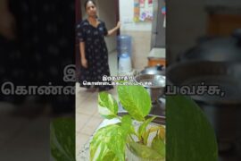 Dont skip this recipe! Healthy recipes for babies and kids #babyfood #babyfoodrecipe #food