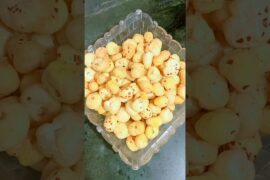 Crispy Roasted Makhana | Tea Time Healthy Snack | Easy Makhana Fry