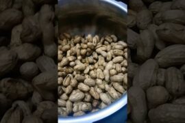 groundnut #health #benefits #healthy #boiled #snack#Tasty#food#foodie #home#cooking #honemade#