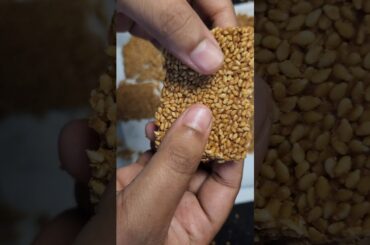 Sesame chikki #tasty #healthy #recipes #sweet #foodie