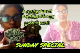 Sunday special vlog healthy lunch and breakfast recipes/sai kanish media