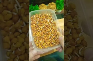 Healthy sprouts #dailyzaika #sprouts #shortsfeed #youtubeshorts #recipe #healthybreakfast #food